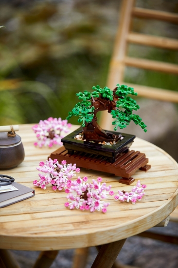 Slika LEGO® CREATOR 10281 Bonsai drvo