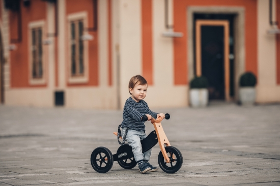 Slika Drveni školski bicikl, tricikl 2u1,crni 42851 FREE 2 MOVE