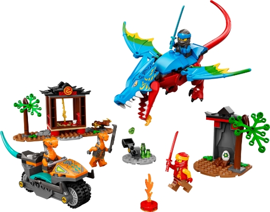 Slika LEGO® NINJAGO® 71759 Hram ninja sa zmajem