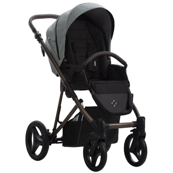 Slika Dječja kolica Bebetto Flavio PRO 09/BRM 3u1 B