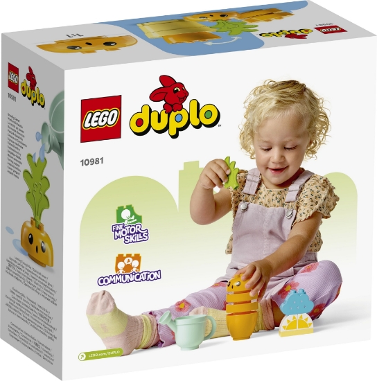 Slika LEGO® Duplo® 10981 Uzgoj mrkve