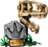 Slika LEGO® JURASSIC WORLD™ 76964 Fosili dinosaura: T. rexova lubanja