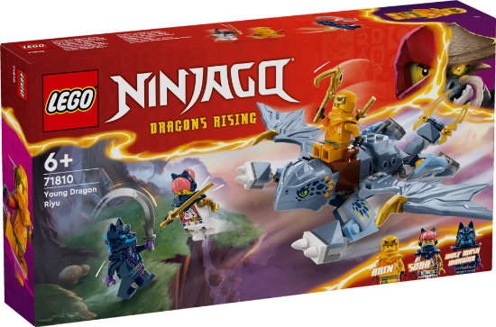 Slika LEGO® NINJAGO® 71810 Mladi zmaj Riyu