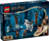 Slika LEGO® HARRY POTTER™ 76432 Zabranjena šuma™: magična stvorenja