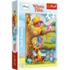 Slika  Puzzle Winnie the Pooh, 60 kom 17264 - TREFL