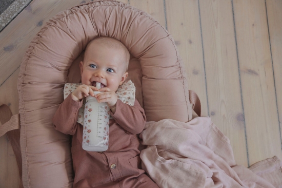 Slika Staklena bočica za hranjenje, Autumn Rose - Elodie