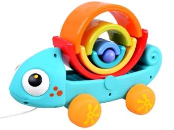 Slika Kameleon duga HOLA 