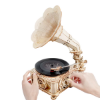 Slika Gramofon - Rokr 3D Classical Gramophone