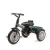 Slika Trike Tricikl 6u1 - Spruce Green - Bentley