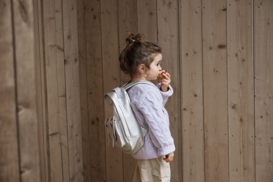 Slika Mini ruksak, Silver Sheen - Elodie