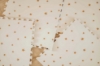 Slika Podloga za igru 2 u 1 Eevaa, Treehouse Play&Go 