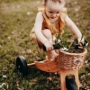 Slika Pletena košarica za guralice kinderfeets® 