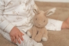 Slika Plišana igračka Bunny 25cm - Little Dutch