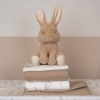 Slika Plišana igračka Bunny 25cm - Little Dutch