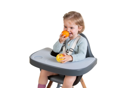 Slika Pladanj za hranilicu Evolu antracit + podlog od silikona - Childhome