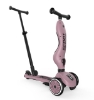 Slika Dječja guralica i romobil Highwaykick 1 Push and Go Wildberry - Scoot & Ride