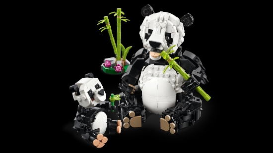 Slika LEGO® CREATOR Divlje životinje: obitelj panda 31165 