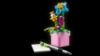 Slika LEGO® CREATOR 31169 Pisaći stroj s cvijećem