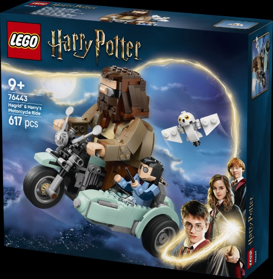 Slika LEGO® HARRY POTTER™ 76443 Hagrid™ i Harry na motociklu