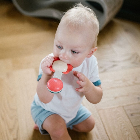 Slika Zvečka s grickalicom, Lav BabyOno