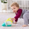 Slika Igračka ručni usisavač Push & Pop 307015 Infantino 