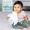 Slika Plišana svjetleća igračka sa grickalicom - Owl Infantino 