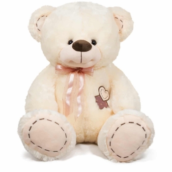 Slika Plišana igračka Medvjedić sa srcem 50 cm - Ecru Amek 