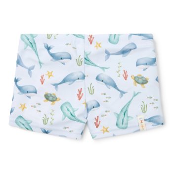 Slika Dječje kupaće gaćice Ocean 74/80 - Little Dutch