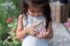 Slika Staklenka za insekte Fairy Garden - Little Dutch