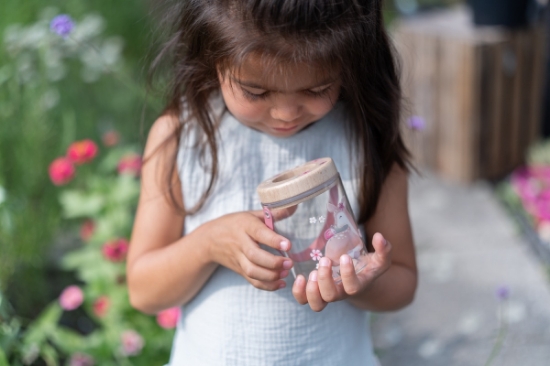 Slika Staklenka za insekte Fairy Garden - Little Dutch