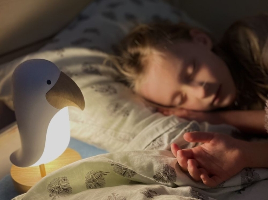 Slika Stolna lampa s zvučnikom - Ptica