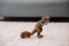 Slika  Dinosaur Tyrannosaurus Rex na daljinsko upravljanje, para, svjetlosni i zvučni efekti 83150 FREE 2 PLAY