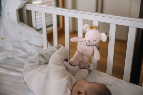 Slika Plišana igračka na povlačenje Medvjedić Max, 21 cm 83457 FREE 2 PLAY 