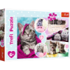 Slika Puzzle mace, 160 kom 15371 TREFL 