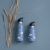 Slika Termos boca Dino (350 ml) Fresk 