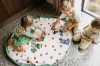 Slika Podloga za igranje i putovanje 2u1, Snail - Play&Go
