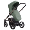 Slika Dječja kolica Bebetto Pelpasso 05/Cashmere 3u1 B