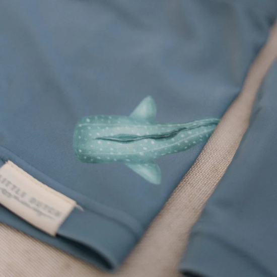 Slika Dječje kupaće gaćice Sea Life Blue 74/80 - Little Dutch