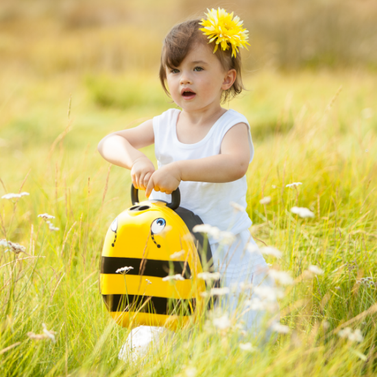 Slika Prijenosna tuta Bumbar - My Carry Potty
