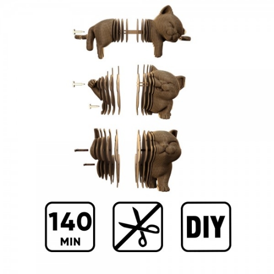 Slika 3D puzzle - Tri mačića CARTONIC 