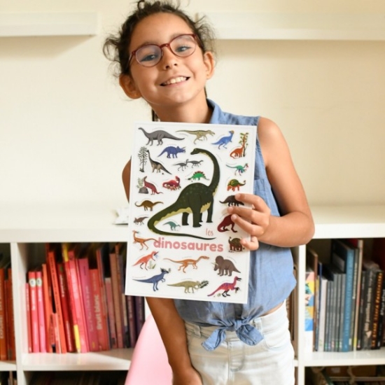 Slika Mini poster s naljepnicama Discovery DINOSAURI POPPIK 