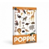 Slika Mini poster s naljepnicama Discovery SAVANA POPPIK 