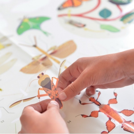 Slika Poster s naljepnicama Discovery INSEKTI POPPIK 