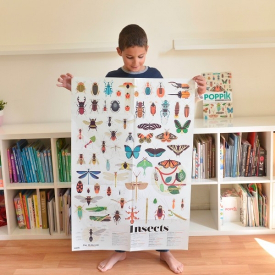 Slika Poster s naljepnicama Discovery INSEKTI POPPIK 