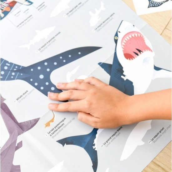 Slika Poster s naljepnicama Discovery MORSKI PSI POPPIK 