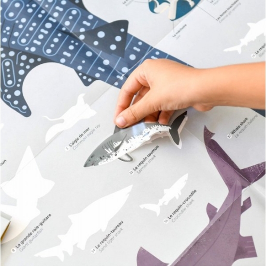 Slika Poster s naljepnicama Discovery MORSKI PSI POPPIK 
