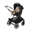 Slika Crosslight 3 dječja kolica 3u1, Sesame JANE 