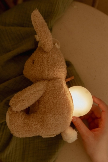 Slika Noćno svjetlo za crtanje Bunny - Little Dutch