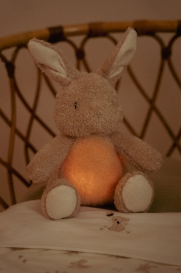 Slika Noćno svjetlo za crtanje Bunny - Little Dutch