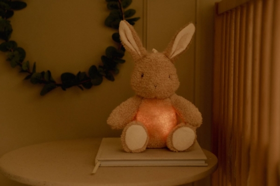 Slika Noćno svjetlo za crtanje Bunny - Little Dutch